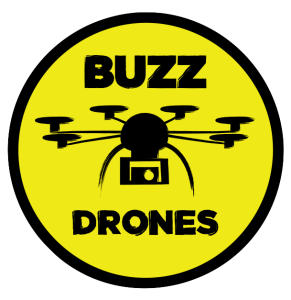 buzz drones logo
