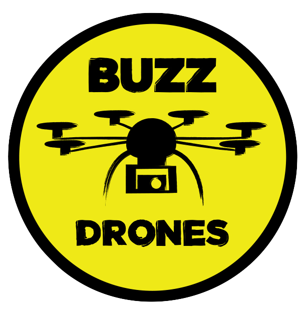 buzz drones logo
